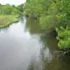 Redeye River Symbol Image