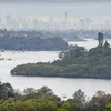 Parramatta River Symbol Image