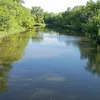 Yellow Medicine River Symbol Image
