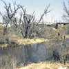 Maple River (Minnesota) Symbol Image