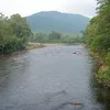 Black Fork (Cheat River) Symbol Image