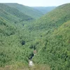 Blackwater River (Black Fork / West Virginia) Symbol Image