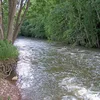 Black Fork Mohican River Symbol Image