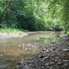 Holly River Symbol Image