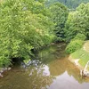 Birch River (West Virginia) Symbol Image