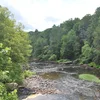 Meadow River Symbol Image