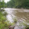 Cherry River Symbol Image