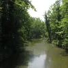 Tradewater River Symbol Image