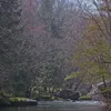 Clear Fork (Big South Fork Cumberland River) Symbol Image