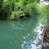  Wolf River (Obey River / Tennessee) Symbol Image