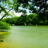 Collins River Symbol Image