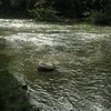 Little Harpeth River  Symbol Image
