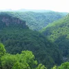 Russell Fork Symbol Image