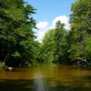 Watauga River Symbol Image