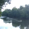 Buffalo River (Duck River / Tennessee) Symbol Image