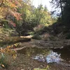 Sipsey River  Symbol Image