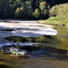 Wilson River (Oregon) Symbol Image