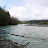 Hoh River Symbol Image