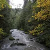 Dungeness River Symbol Image