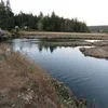  Tahuya River Symbol Image