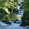 Deschutes River (Washington) Symbol Image